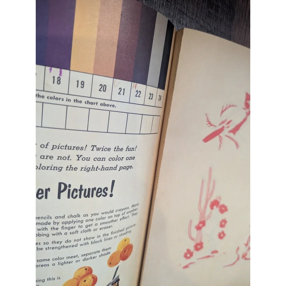 1962 Whitman Nature Color By Number Book Drawings by Judy Stang‎ 11x13